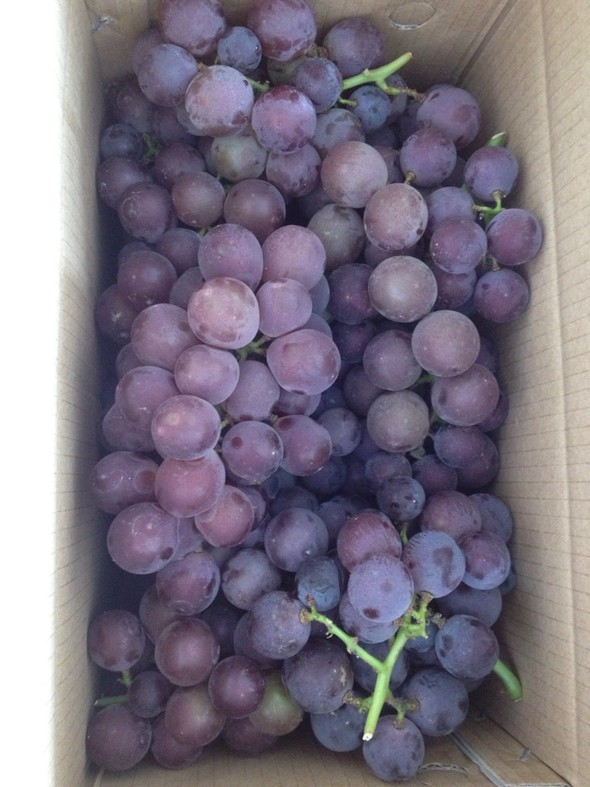 一箱刚摘下来的葡萄