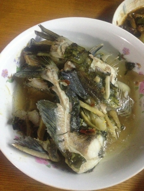 汪刺鱼