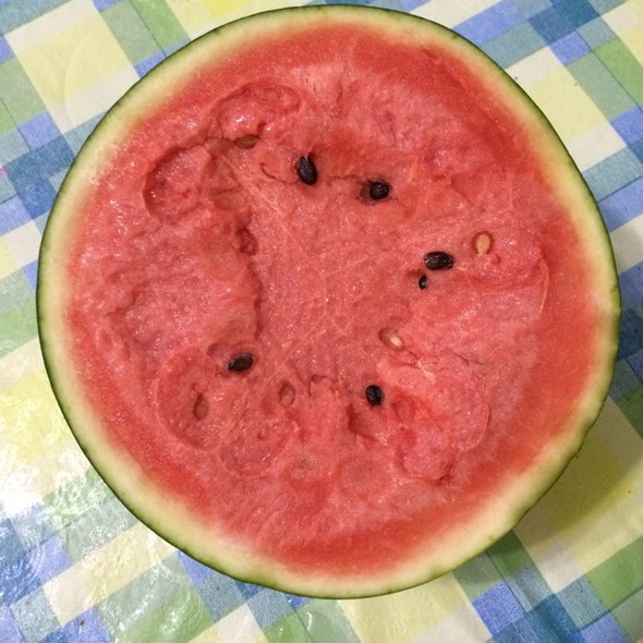 胚珠的形状,胚珠,多胚珠(第3页)_大山谷图库