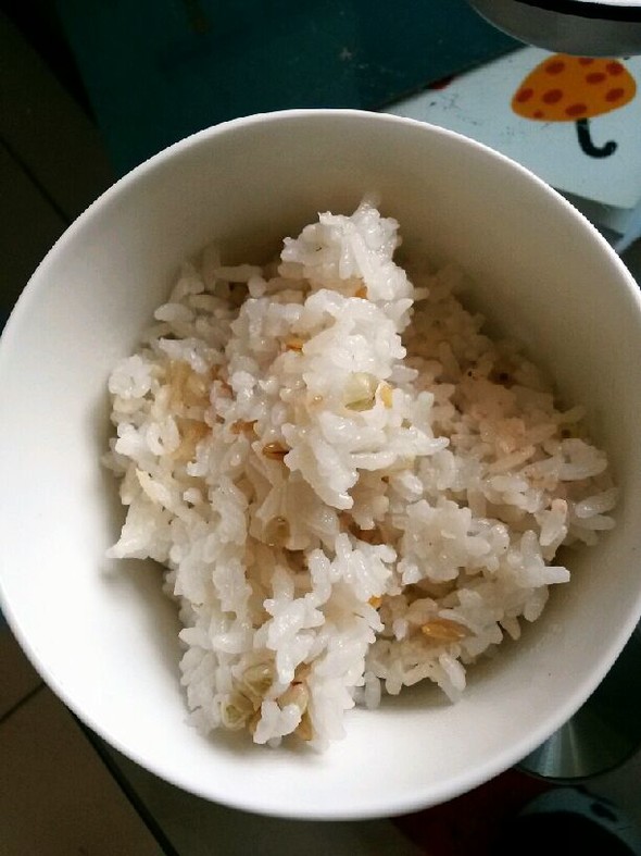燕麦米饭