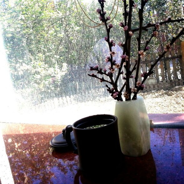 花与茶