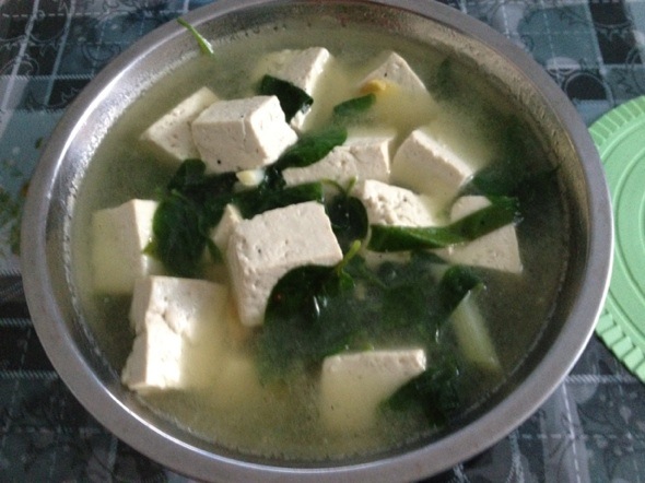中午的豌豆尖豆腐汤