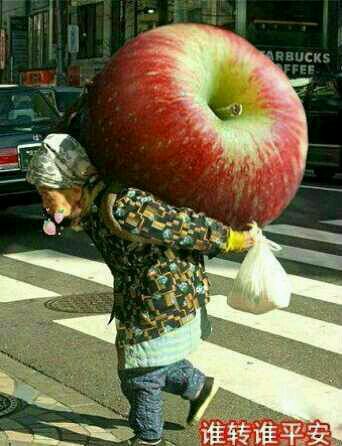 超级大苹果