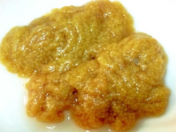 喜欢的鱼籽