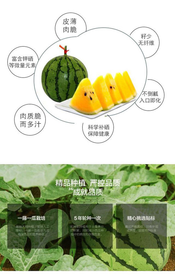 归田居丨仁风富硒黄瓤小西瓜4个859斤