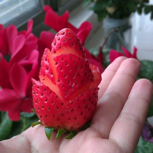 玫瑰花草莓