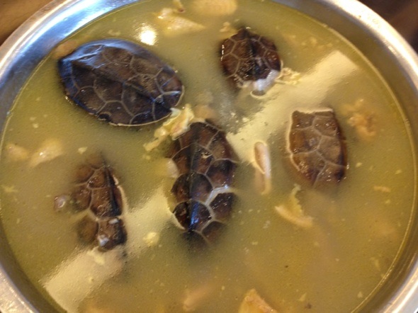 乌龟汤的做法图片